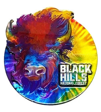 men clothing oversized hoodie-BH Tie Dye Buffalo Magnet